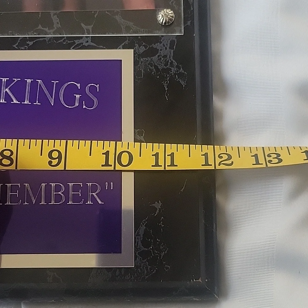 sacramento kings celebrate sacramento